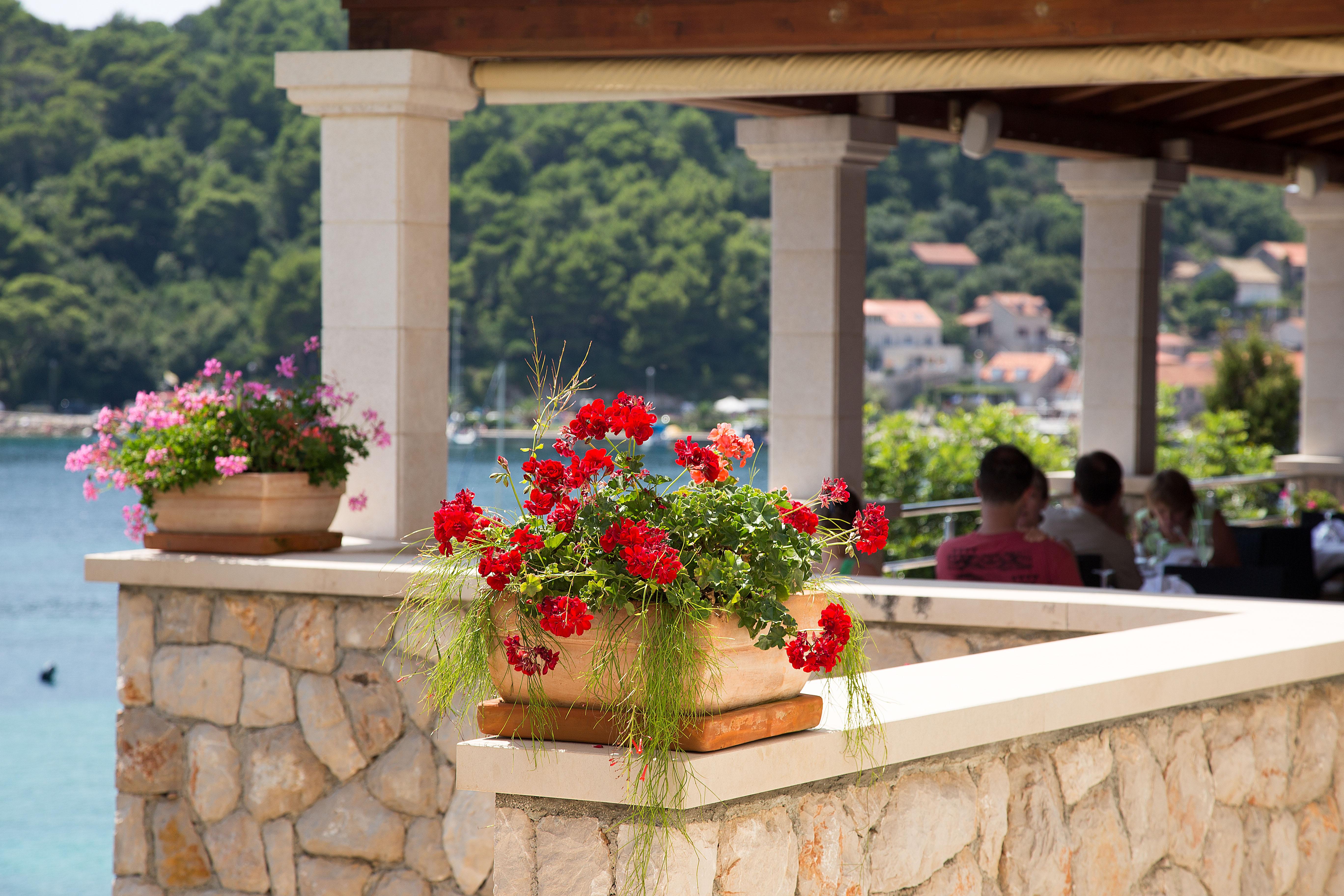 Hotel Bozica Dubrovnik Islands Sudurad Eksteriør bilde